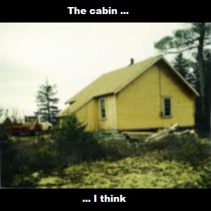 The Cabin in the Woods